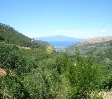 Residential 1000m<sup>2</sup> for sale photo 2536469