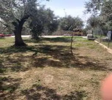 Residential 430m<sup>2</sup> for sale photo 2538615