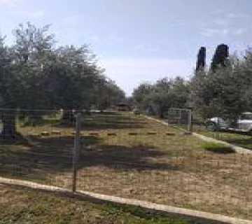 Residential 430m<sup>2</sup> for sale photo 2538615