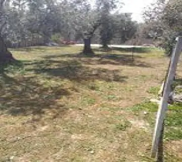 Residential 430m<sup>2</sup> for sale photo 2538615