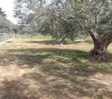 Residential 430m<sup>2</sup> for sale photo 2538616