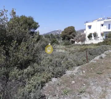 Οικιστικό 400τ.μ. προς πώληση φωτογραφία 4