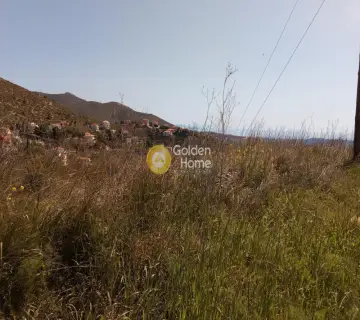 Οικιστικό 1051τ.μ. προς πώληση φωτογραφία 6