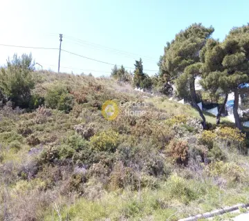 Οικιστικό 1051τ.μ. προς πώληση φωτογραφία 2
