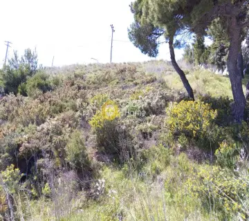 Οικιστικό 1051τ.μ. προς πώληση φωτογραφία 5