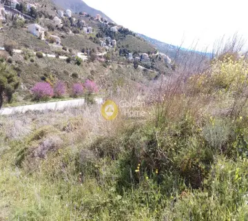 Οικιστικό 1051τ.μ. προς πώληση φωτογραφία 4