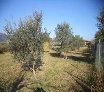 土地 820m<sup>2</sup> for sale photo 2537993