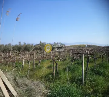 Parcel 1574m<sup>2</sup> for sale photo 2538000