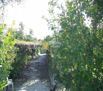 Parcel 2725m<sup>2</sup> for sale photo 2538008