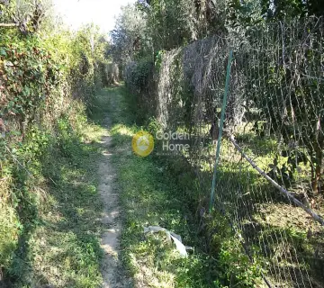 Parcel 2725m<sup>2</sup> for sale photo 2538010