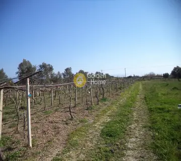Parcel 3103m<sup>2</sup> for sale photo 2538057
