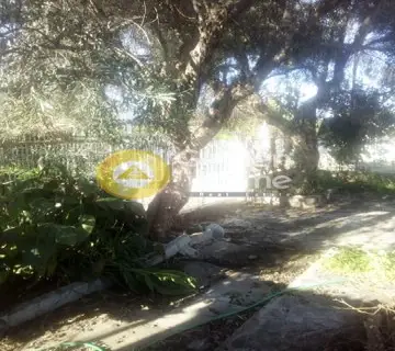 Μεζονέτα Ανεξάρτητη 197τ.μ. προς πώληση φωτογραφία 67