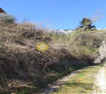 Residential 700m<sup>2</sup> for sale photo 2