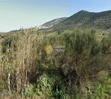 Αγροτεμάχιο 3039τ.μ. προς πώληση φωτογραφία 1