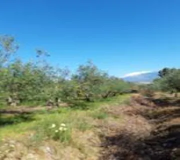 Residential 4500m<sup>2</sup> for sale photo 4