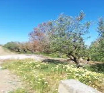 Residential 4500m<sup>2</sup> for sale photo 3