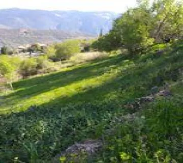 Residential 337m<sup>2</sup> for sale photo 2