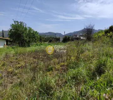 住宅 500m<sup>2</sup> for sale photo 3
