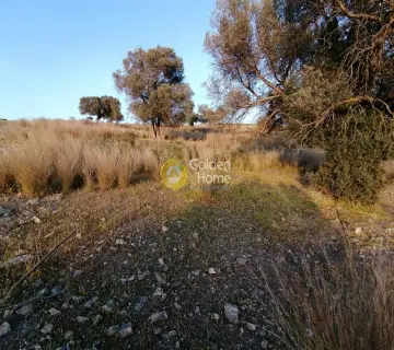 Parcel 3450m<sup>2</sup> for sale photo 19