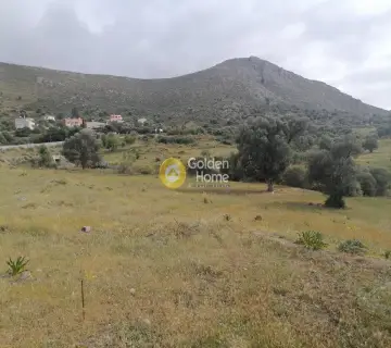 Residential 1340m<sup>2</sup> for sale photo 10