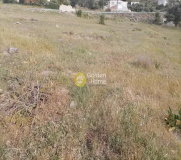 Residential 1340m<sup>2</sup> for sale photo 12