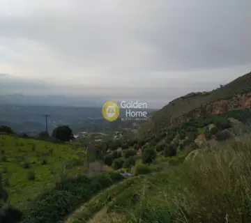 Οικιστικό 7390τ.μ. προς πώληση φωτογραφία 2