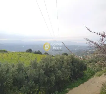 Οικιστικό 7390τ.μ. προς πώληση φωτογραφία 3