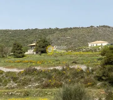 Residential 9000m<sup>2</sup> for sale photo 5