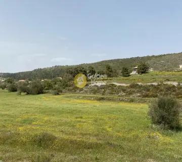 Residential 9000m<sup>2</sup> for sale photo 3