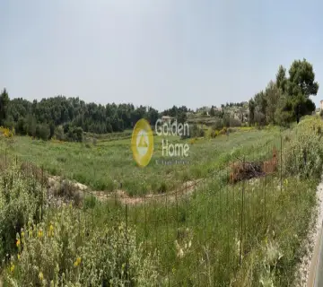 Residential 9000m<sup>2</sup> for sale photo 23