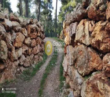Μονοκατοικία 330τ.μ. προς πώληση φωτογραφία 25