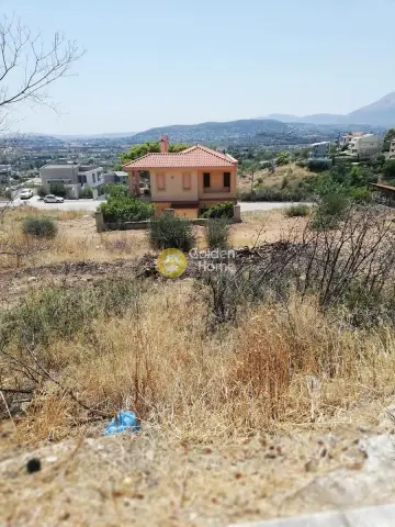 Residential 350m<sup>2</sup> for sale photo 1