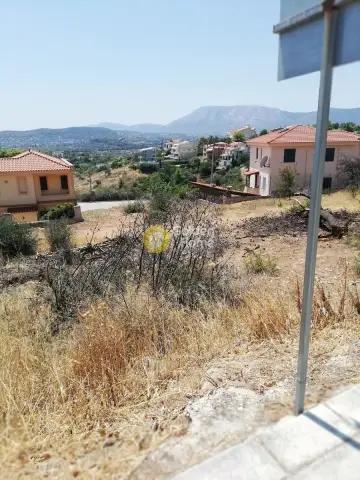 Residential 350m<sup>2</sup> for sale photo 2