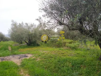 Residential 6100m<sup>2</sup> for sale photo 2
