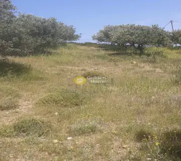 Residential 2300m<sup>2</sup> for sale photo 2
