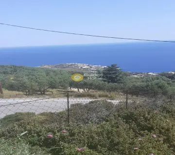 Residential 2300m<sup>2</sup> for sale photo 4