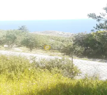 Residential 2300m<sup>2</sup> for sale photo 9