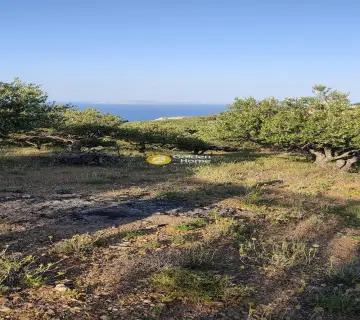 Residential 2300m<sup>2</sup> for sale photo 37