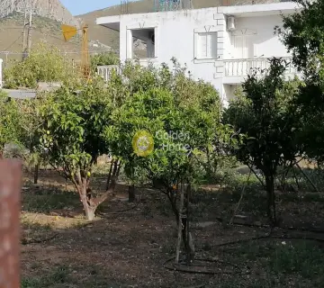 Residential 400m<sup>2</sup> for sale photo 4