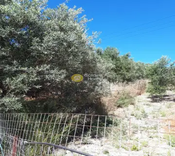 Οικιστικό 1750τ.μ. προς πώληση φωτογραφία 5