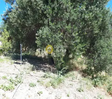 Οικιστικό 1750τ.μ. προς πώληση φωτογραφία 13