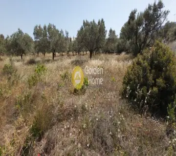 Αγροτεμάχιο 1150τ.μ. προς πώληση φωτογραφία 1
