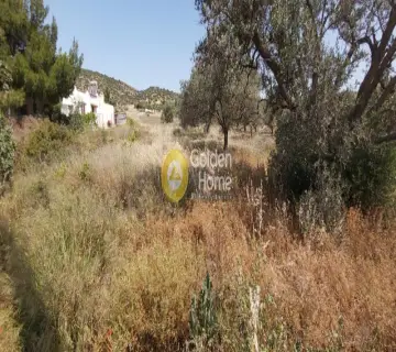 Αγροτεμάχιο 1150τ.μ. προς πώληση φωτογραφία 2