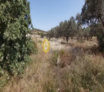 Αγροτεμάχιο 1150τ.μ. προς πώληση φωτογραφία 3