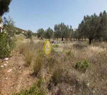 Αγροτεμάχιο 1150τ.μ. προς πώληση φωτογραφία 4