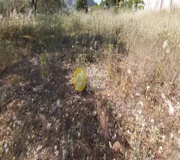 Αγροτεμάχιο 1150τ.μ. προς πώληση φωτογραφία 2598805