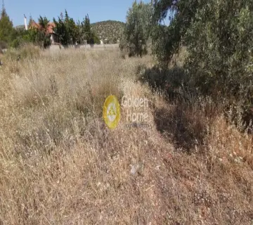 Αγροτεμάχιο 1150τ.μ. προς πώληση φωτογραφία 2598806