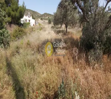 Αγροτεμάχιο 1150τ.μ. προς πώληση φωτογραφία 2598810