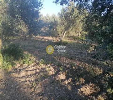 Parcel 4000m<sup>2</sup> for sale photo 2