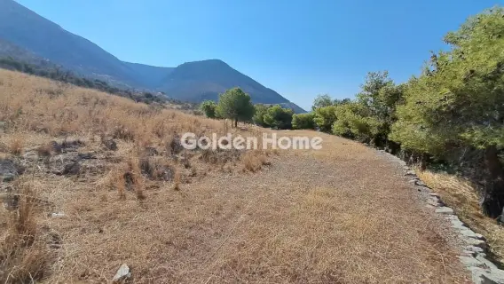 Αγροτεμάχιο 8672τ.μ. προς πώληση φωτογραφία 5610157